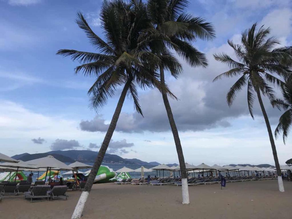 Khám Phá Hoang Son Hotel Nha Trang: Điểm Nghỉ Dưỡng Lý Tưởng Giữa Lòng Thành Phố Biể