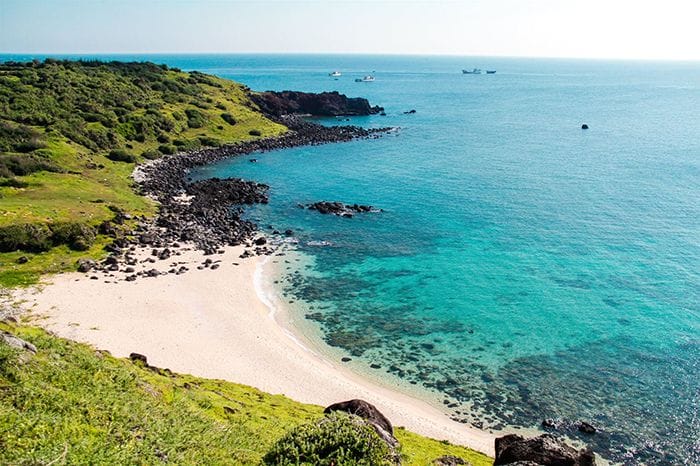 Tour Phú Quý Tết Dương Lịch 3 Ngày 2 Đêm Hấp Dẫn, Từ Sài Gòn Khám Phá Cua Huỳnh Đế Ngon Nhất Việt Nam