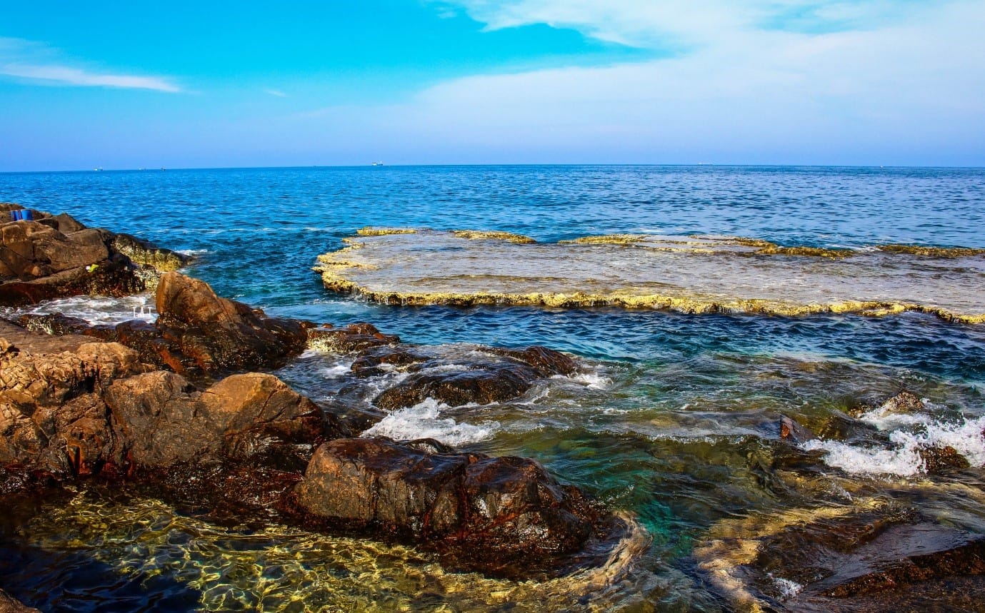 Tour Đảo Bình Hưng Siêu Chill, Biển Như Ngọc, Đồng Cừu Châu Âu Thu Nhỏ + Vườn Nho Thiên Đường