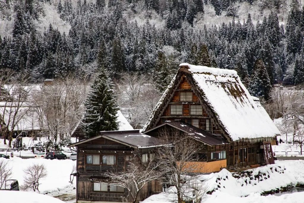 Tết Nhật Bản 6N5Đ Đỉnh Cao, Từ Làng Cổ Shirakawago Phủ Tuyết Đến Núi Phú Sĩ - Takayama - Tokyo Ngắm Hoa Anh Đào Nở Sớm Kỳ Diệu!