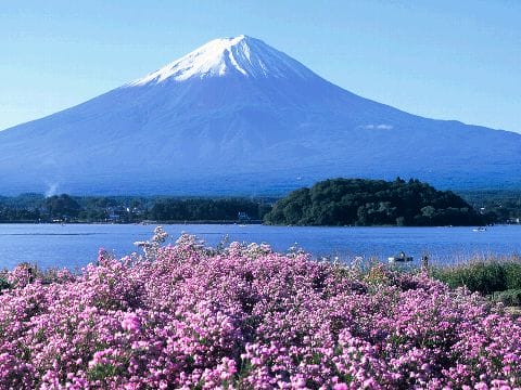Tour Nhật Bản Tết Nguyên Đán 5N5Đ, Osaka, Kyoto, Yamanashi, Fuji, Tokyo – Nơi Anh Đào Gọi Tên Bạn